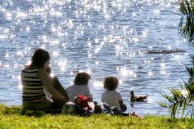 Mother With Her Kids Feeding The Ducks